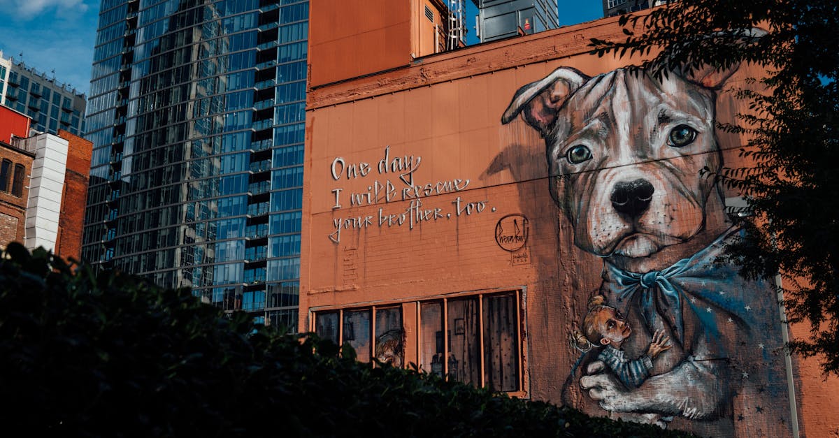 Why Choose Our Exterior Painting Arbour Lake, Calgary