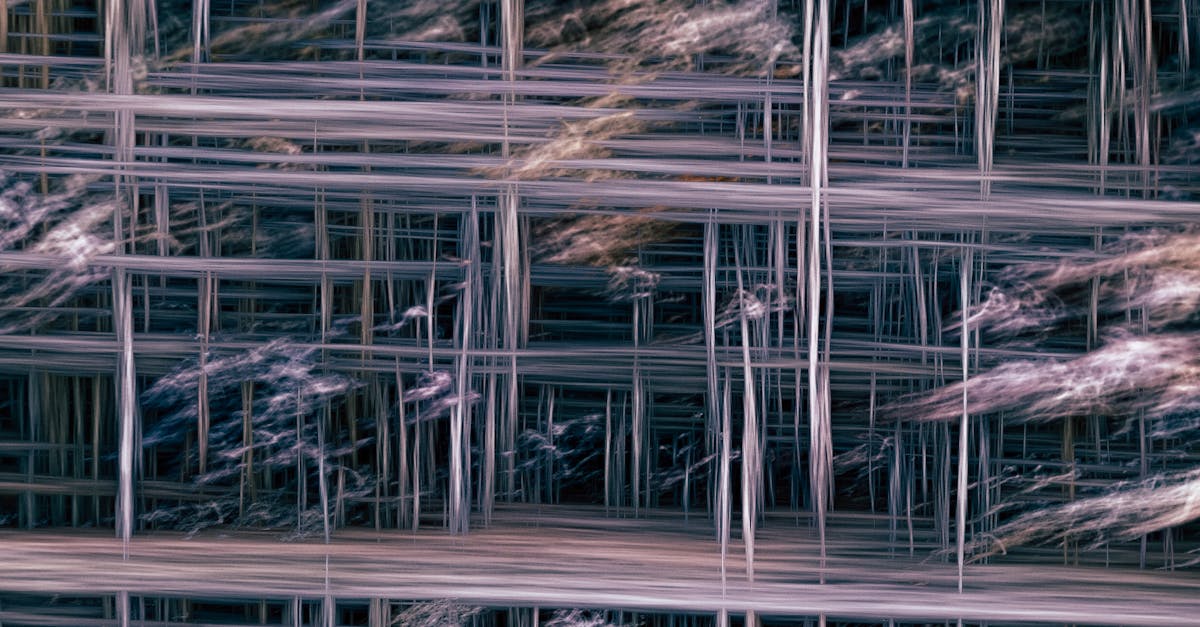 What do painters charge per day?